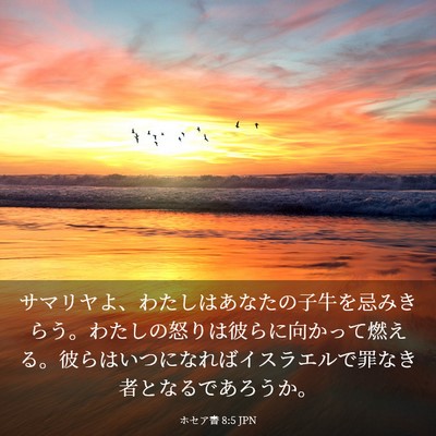 Picture 03 - ホセア書 8:5 JPN - サマリヤよ、わたしはあなたの子牛 - Bible Verse Picture