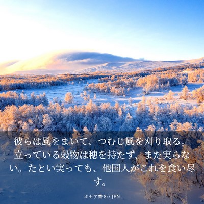 Picture 03 - ホセア書 8:7 JPN - 彼らは風をまいて、つむじ風を刈り - Bible Verse Picture