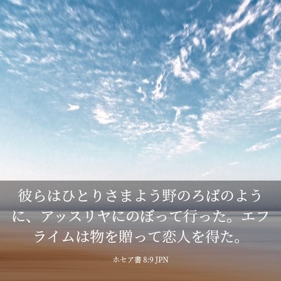 Picture 03 - ホセア書 8:9 JPN - 彼らはひとりさまよう野のろばのよ - Bible Verse Picture