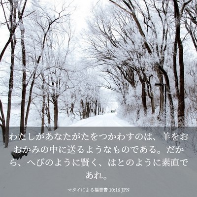 Picture 03 - マタイによる福音書 10:16 JPN - わたしがあなたがたをつかわすのは - Bible Verse Picture
