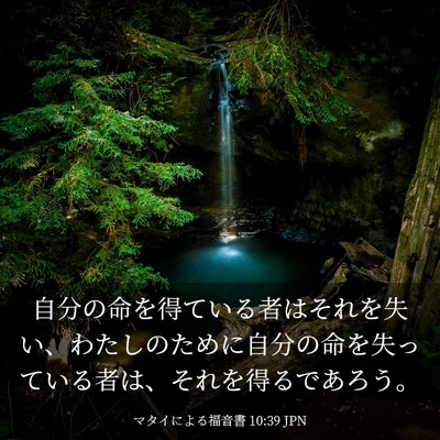 Picture 03 - マタイによる福音書 10:39 JPN - 自分の命を得ている者はそれを失い - Bible Verse Picture
