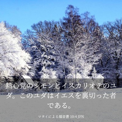 Picture 03 - マタイによる福音書 10:4 JPN - 熱心党のシモンとイスカリオテのユ - Bible Verse Picture