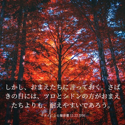 Picture 03 - マタイによる福音書 11:22 JPN - しかし、おまえたちに言っておく。 - Bible Verse Picture
