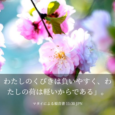 Picture 03 - マタイによる福音書 11:30 JPN - わたしのくびきは負いやすく、わた - Bible Verse Picture
