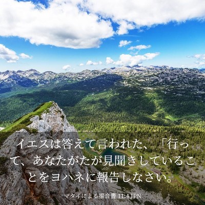Picture 03 - マタイによる福音書 11:4 JPN - イエスは答えて言われた、「行って - Bible Verse Picture