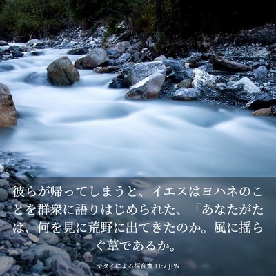 Picture 03 - マタイによる福音書 11:7 JPN - 彼らが帰ってしまうと、イエスはヨ - Bible Verse Picture