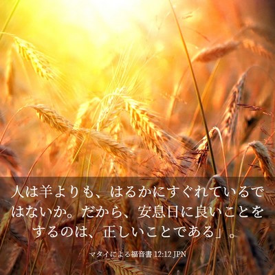 Picture 03 - マタイによる福音書 12:12 JPN - 人は羊よりも、はるかにすぐれてい - Bible Verse Picture