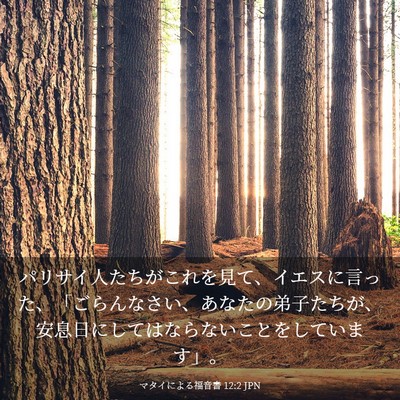 Picture 03 - マタイによる福音書 12:2 JPN - パリサイ人たちがこれを見て、イエ - Bible Verse Picture