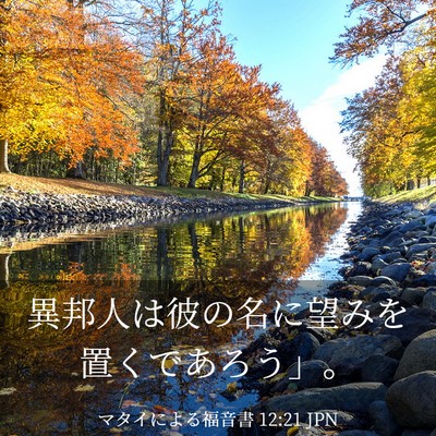 Picture 03 - マタイによる福音書 12:21 JPN - 異邦人は彼の名に望みを置くであろ - Bible Verse Picture