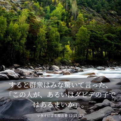 Picture 03 - マタイによる福音書 12:23 JPN - すると群衆はみな驚いて言った、「 - Bible Verse Picture