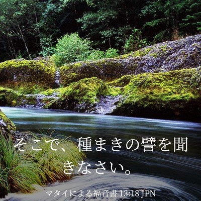 Picture 03 - マタイによる福音書 13:18 JPN - そこで、種まきの譬を聞きなさい。 - Bible Verse Picture