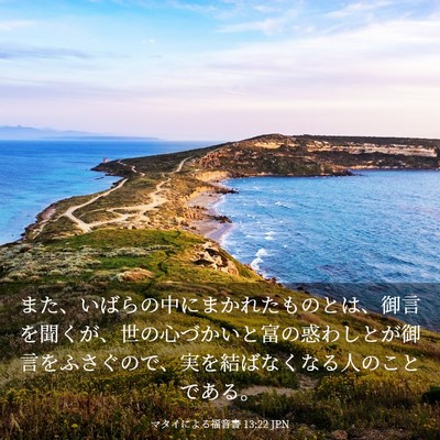 Picture 03 - マタイによる福音書 13:22 JPN - また、いばらの中にまかれたものと - Bible Verse Picture