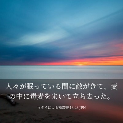 Picture 03 - マタイによる福音書 13:25 JPN - 人々が眠っている間に敵がきて、麦 - Bible Verse Picture