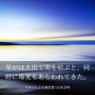 Picture 03 - マタイによる福音書 13:26 JPN - 芽がはえ出て実を結ぶと、同時に毒 - Bible Verse Picture