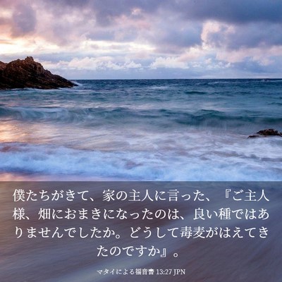 Picture 03 - マタイによる福音書 13:27 JPN - 僕たちがきて、家の主人に言った、 - Bible Verse Picture
