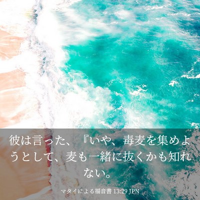 Picture 03 - マタイによる福音書 13:29 JPN - 彼は言った、『いや、毒麦を集めよ - Bible Verse Picture