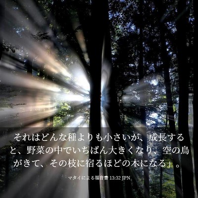 Picture 03 - マタイによる福音書 13:32 JPN - それはどんな種よりも小さいが、成 - Bible Verse Picture