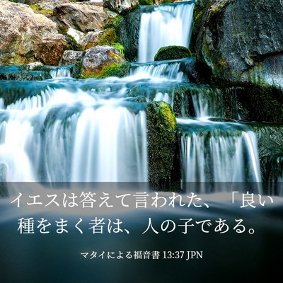 Picture 03 - マタイによる福音書 13:37 JPN - イエスは答えて言われた、「良い種 - Bible Verse Picture