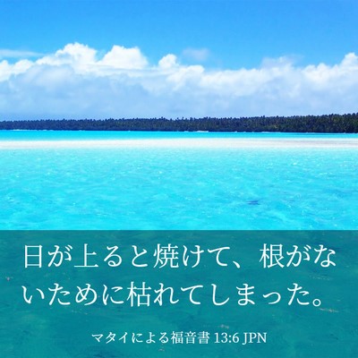 Picture 03 - マタイによる福音書 13:6 JPN - 日が上ると焼けて、根がないために - Bible Verse Picture