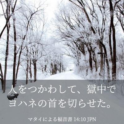 Picture 03 - マタイによる福音書 14:10 JPN - 人をつかわして、獄中でヨハネの首 - Bible Verse Picture