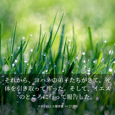 Picture 03 - マタイによる福音書 14:12 JPN - それから、ヨハネの弟子たちがきて - Bible Verse Picture