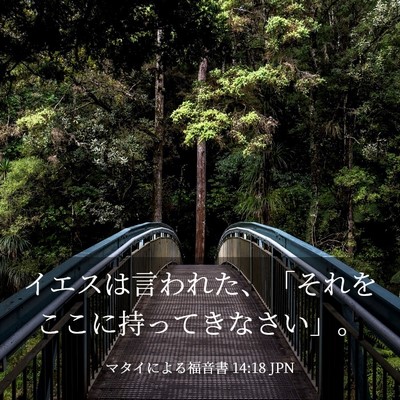 Picture 03 - マタイによる福音書 14:18 JPN - イエスは言われた、「それをここに - Bible Verse Picture