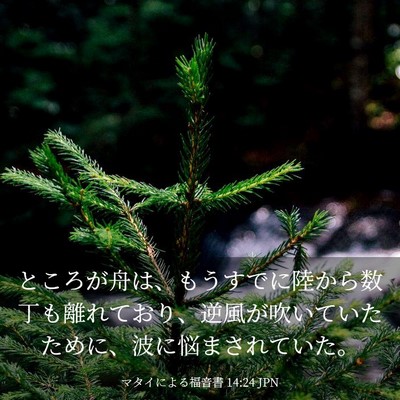 Picture 03 - マタイによる福音書 14:24 JPN - ところが舟は、もうすでに陸から数 - Bible Verse Picture