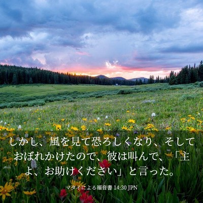 Picture 03 - マタイによる福音書 14:30 JPN - しかし、風を見て恐ろしくなり、そ - Bible Verse Picture