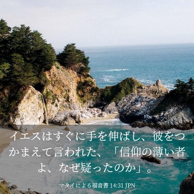 Picture 03 - マタイによる福音書 14:31 JPN - イエスはすぐに手を伸ばし、彼をつ - Bible Verse Picture