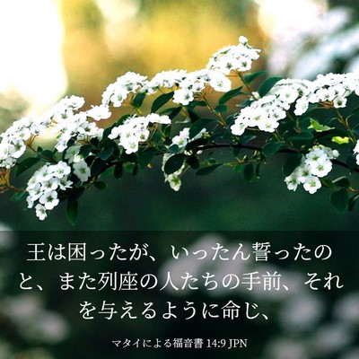 Picture 03 - マタイによる福音書 14:9 JPN - 王は困ったが、いったん誓ったのと - Bible Verse Picture