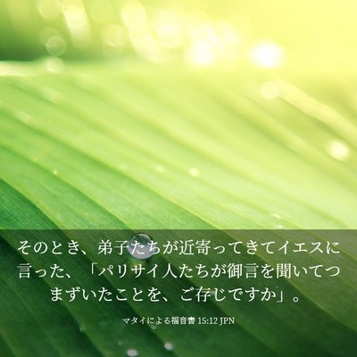 Picture 03 - マタイによる福音書 15:12 JPN - そのとき、弟子たちが近寄ってきて - Bible Verse Picture