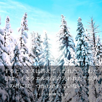 Picture 03 - マタイによる福音書 15:24 JPN - するとイエスは答えて言われた、「 - Bible Verse Picture