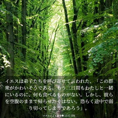 Picture 03 - マタイによる福音書 15:32 JPN - イエスは弟子たちを呼び寄せて言わ - Bible Verse Picture
