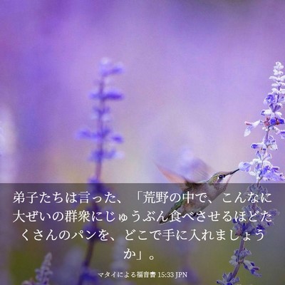 Picture 03 - マタイによる福音書 15:33 JPN - 弟子たちは言った、「荒野の中で、 - Bible Verse Picture