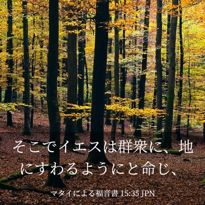 Picture 03 - マタイによる福音書 15:35 JPN - そこでイエスは群衆に、地にすわる - Bible Verse Picture