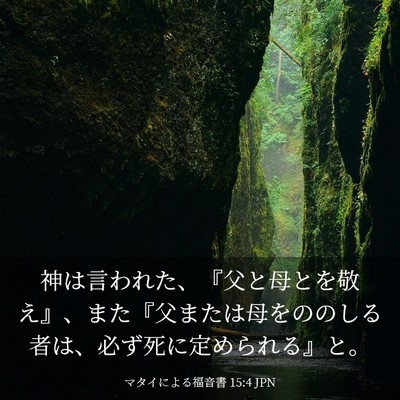 Picture 03 - マタイによる福音書 15:4 JPN - 神は言われた、『父と母とを敬え』 - Bible Verse Picture