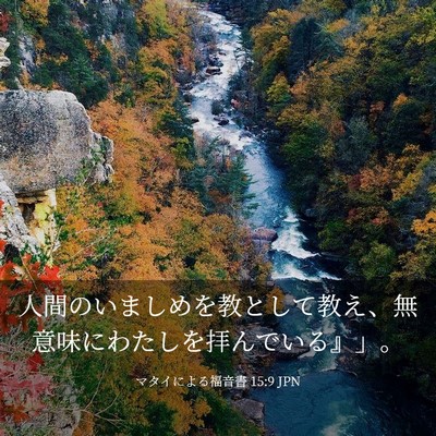 Picture 03 - マタイによる福音書 15:9 JPN - 人間のいましめを教として教え、無 - Bible Verse Picture