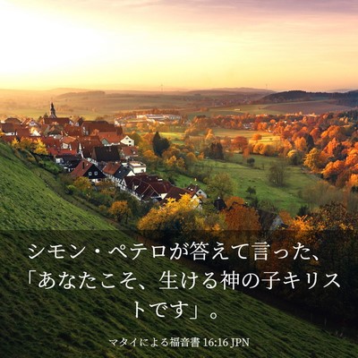 Picture 03 - マタイによる福音書 16:16 JPN - シモン・ペテロが答えて言った、「 - Bible Verse Picture
