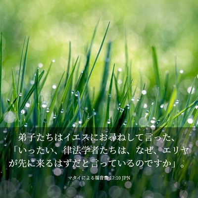 Picture 03 - マタイによる福音書 17:10 JPN - 弟子たちはイエスにお尋ねして言っ - Bible Verse Picture