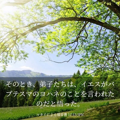 Picture 03 - マタイによる福音書 17:13 JPN - そのとき、弟子たちは、イエスがバ - Bible Verse Picture