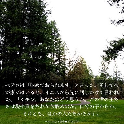 Picture 03 - マタイによる福音書 17:25 JPN - ペテロは「納めておられます」と言 - Bible Verse Picture