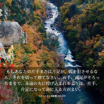 Picture 03 - マタイによる福音書 18:8 JPN - もしあなたの片手または片足が、罪 - Bible Verse Picture