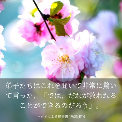 Picture 03 - マタイによる福音書 19:25 JPN - 弟子たちはこれを聞いて非常に驚い - Bible Verse Picture