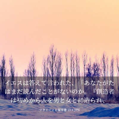 Picture 03 - マタイによる福音書 19:4 JPN - イエスは答えて言われた、「あなた - Bible Verse Picture
