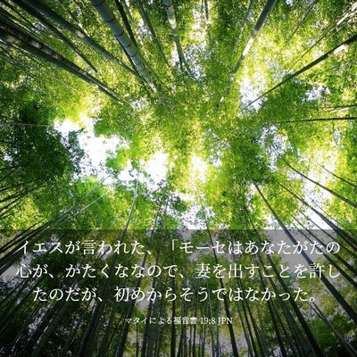 Picture 03 - マタイによる福音書 19:8 JPN - イエスが言われた、「モーセはあな - Bible Verse Picture