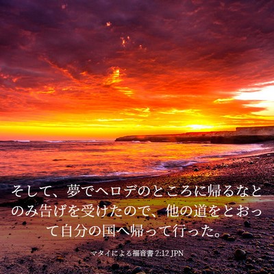 Picture 03 - マタイによる福音書 2:12 JPN - そして、夢でヘロデのところに帰る - Bible Verse Picture