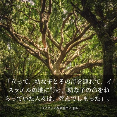 Picture 03 - マタイによる福音書 2:20 JPN - 「立って、幼な子とその母を連れて - Bible Verse Picture