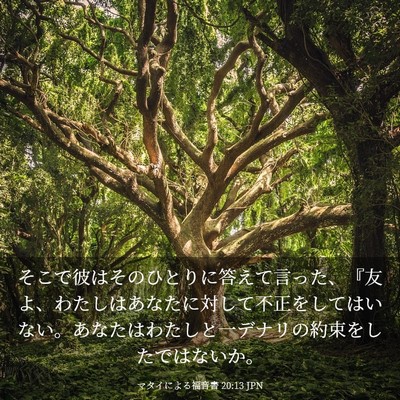 Picture 03 - マタイによる福音書 20:13 JPN - そこで彼はそのひとりに答えて言っ - Bible Verse Picture