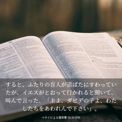 Picture 03 - マタイによる福音書 20:30 JPN - すると、ふたりの盲人が道ばたにす - Bible Verse Picture