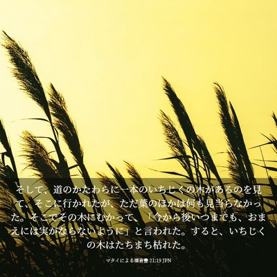 Picture 03 - マタイによる福音書 21:19 JPN - そして、道のかたわらに一本のいち - Bible Verse Picture